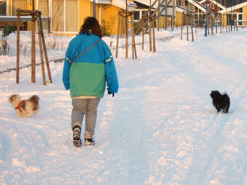 Spaziergang im Schnee