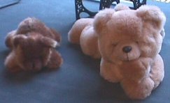 Knuffels